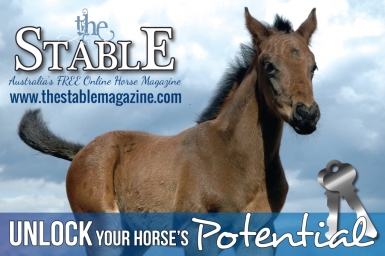 Unlock Your Dreams Baby Horses For Sale Are Within Reach - 9z0r7j4