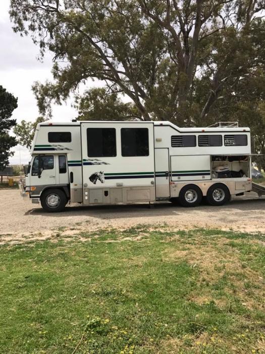 Trucks Transport & Vehicles Horsezone Page 1