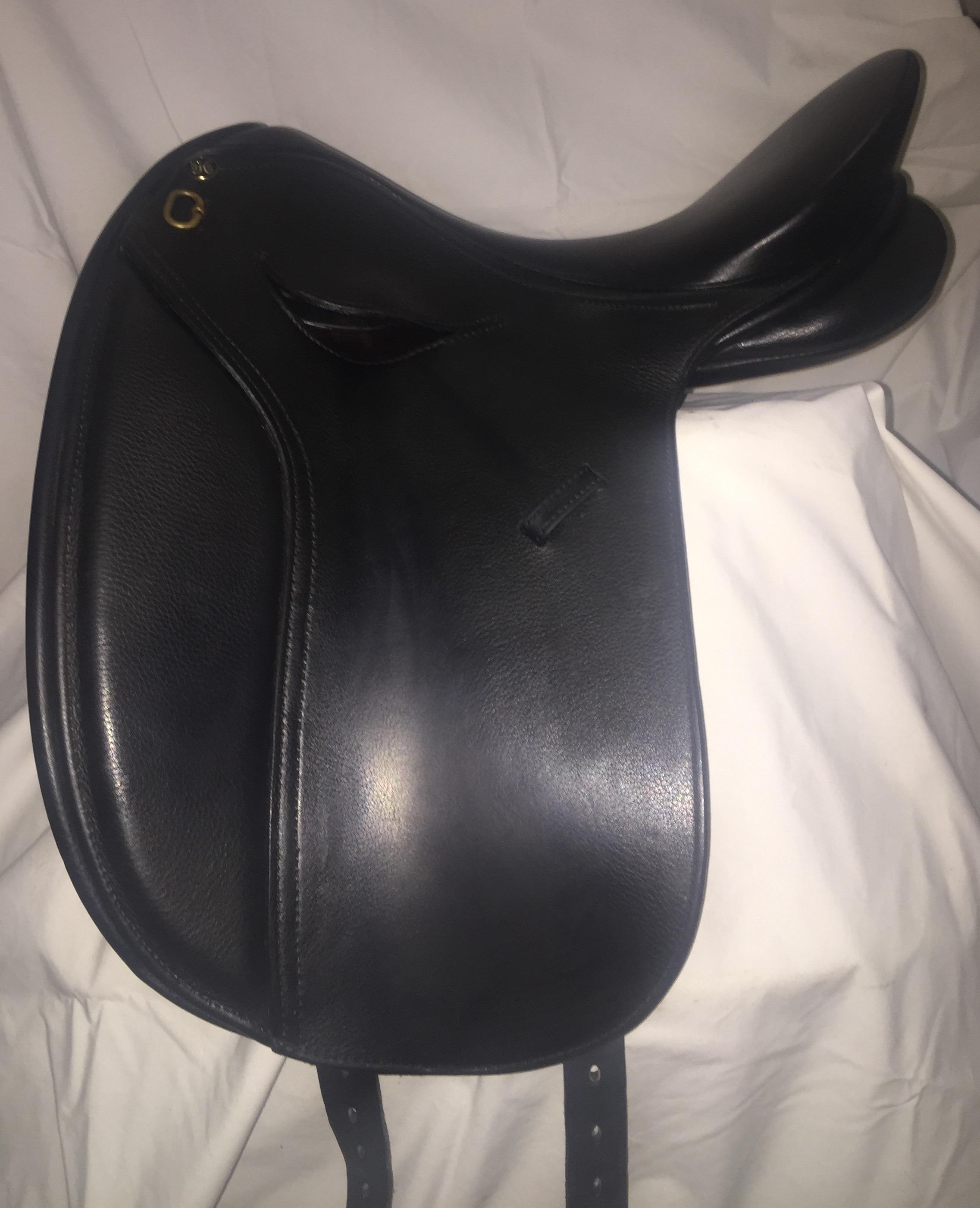 Horses for sale & equine products, stallions, equine news & gallery on