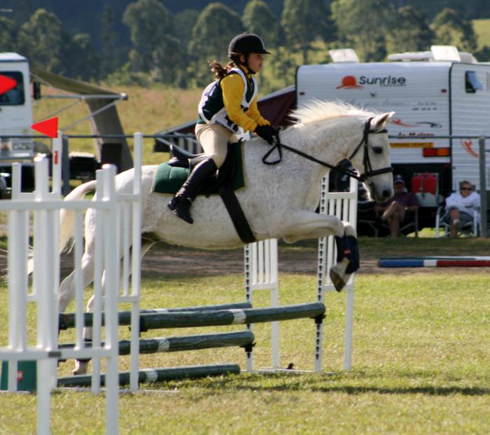 13.2hh Riding Pony – Best Allrounder - Riding Pony - Horsezone
