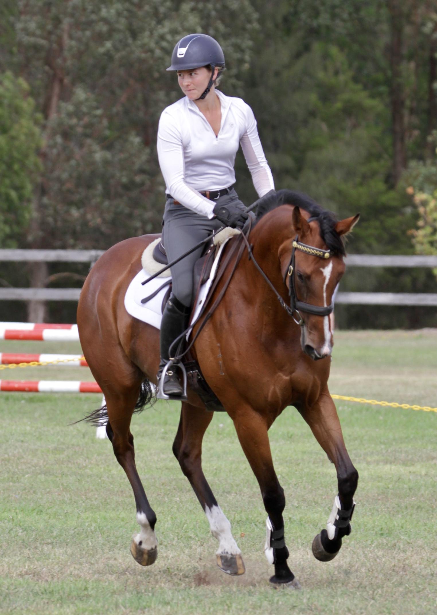 View All Horses For Sale Horsezone Page 1