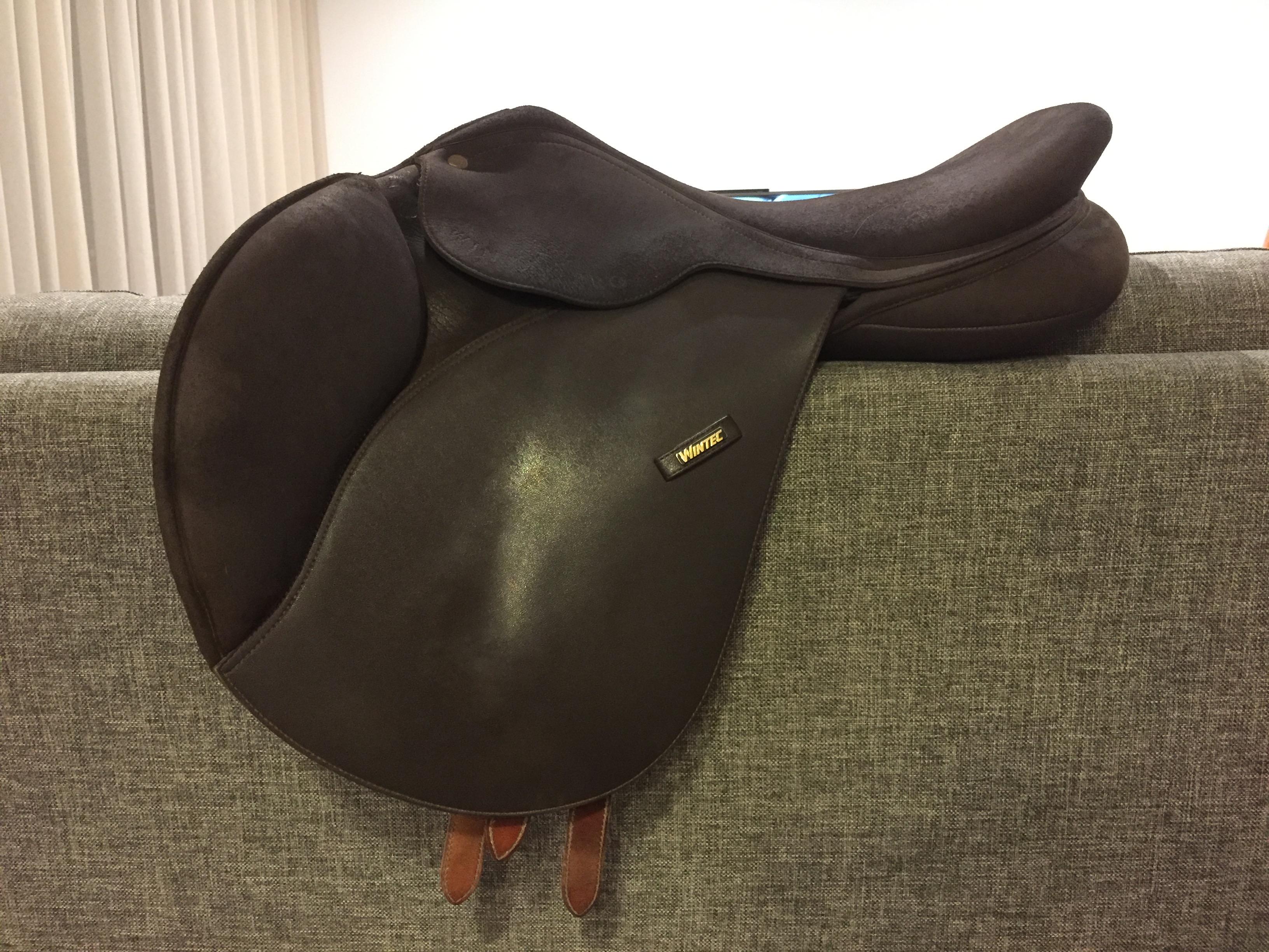 Jumpings Saddles Horsezone Page 1