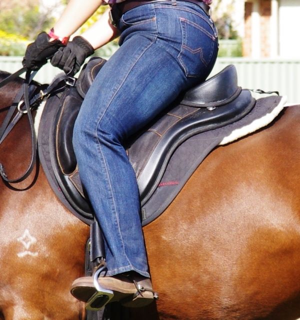 Freeform Classic Package FURTHER REDUCED Other Horsezone