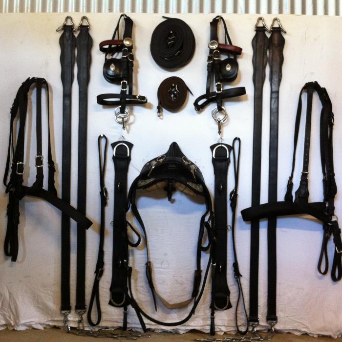 Harnesses Saddlery, Tack & Apparel Horsezone Page 1