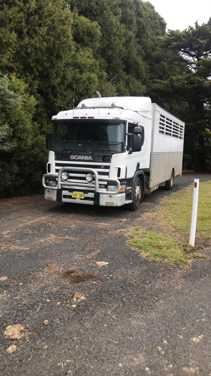 Trucks Transport & Vehicles Horsezone Page 1