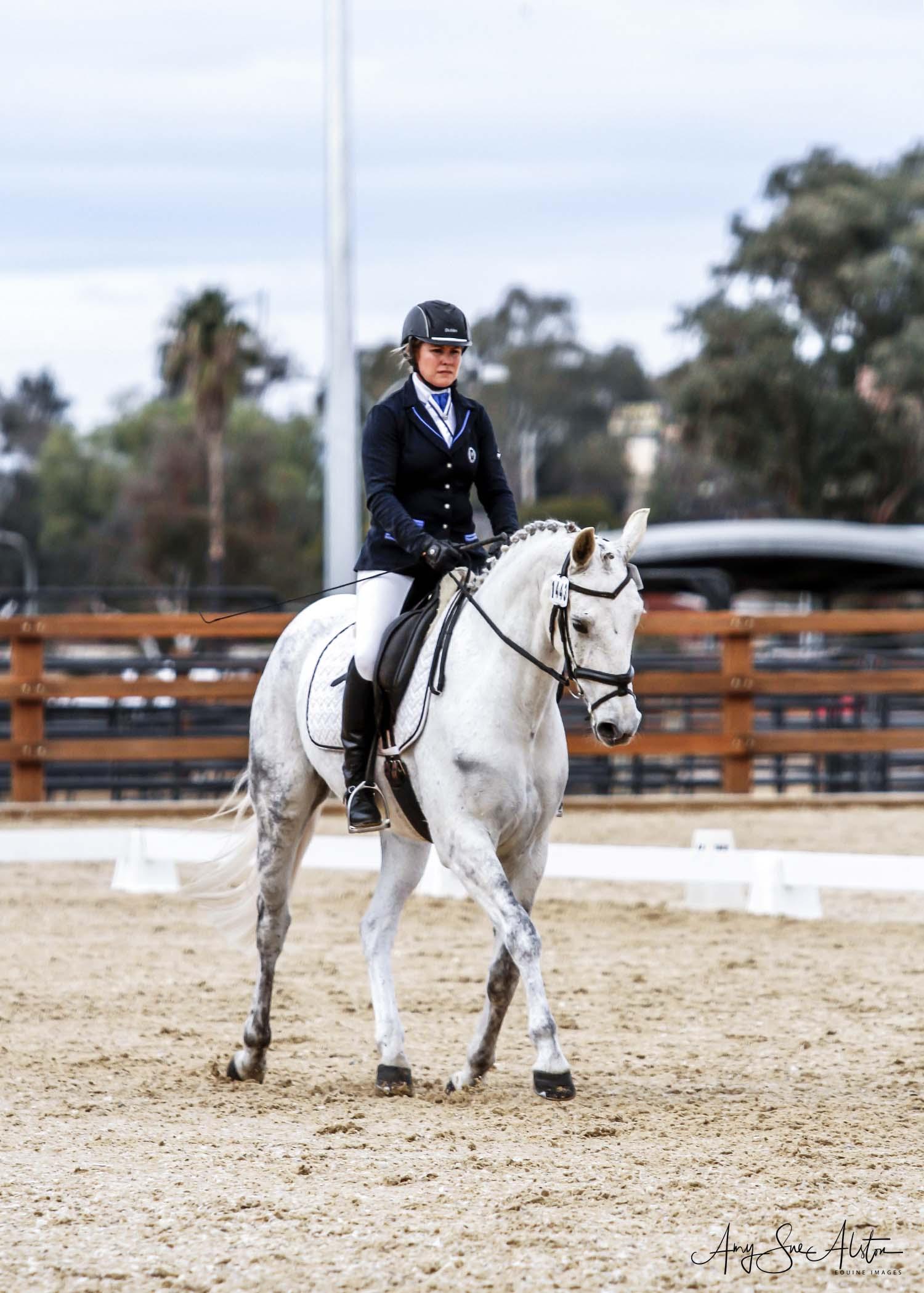 Horses for sale & equine products, stallions, equine news & gallery on