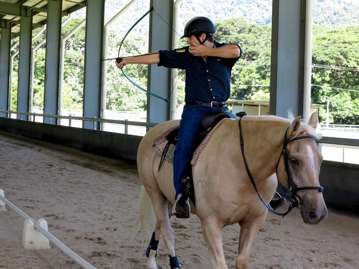 Palomino Gelding Palomino Horsezone