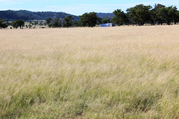 Horse Properties For Sale Warwick Qld Horse Properties For Sale Warwick Qld