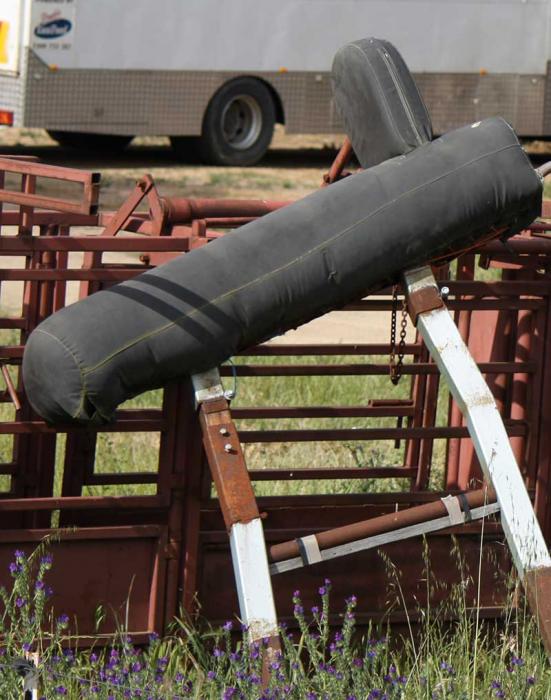 Foaling supplies s Horse accessories Horsezone Page 1