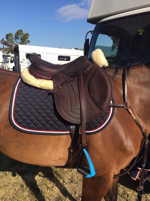 Jumpings Saddles Horsezone Page 1