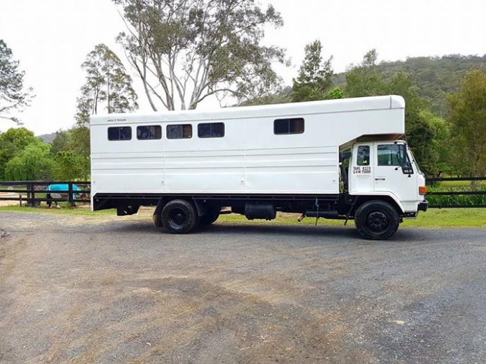 Isuzu 6 Horse truck Great TRUCK Trucks Horsezone