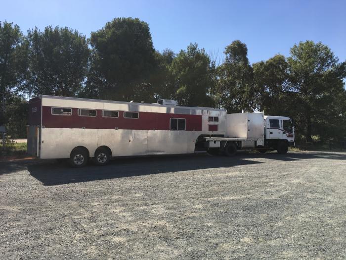 Trucks Transport & Vehicles Horsezone Page 1