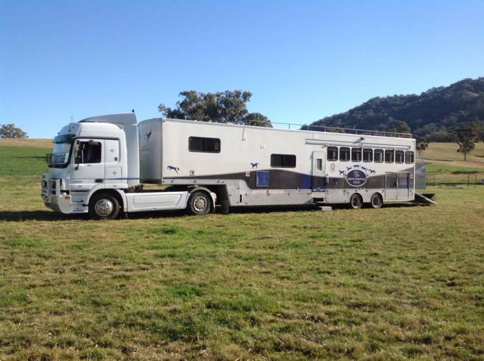 Horses for sale & equine products, stallions, equine news & gallery on