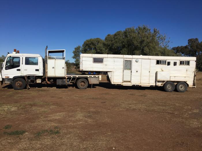 Floats & Accessories s Transport & Vehicles Horsezone Page 1