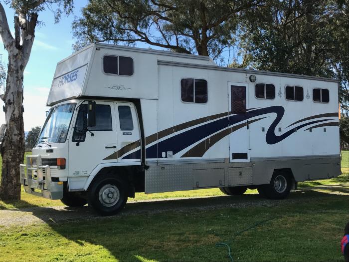 Horses for sale & equine products, stallions, equine news & gallery on