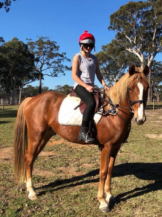 View All Horses For Sale Horsezone Page 4