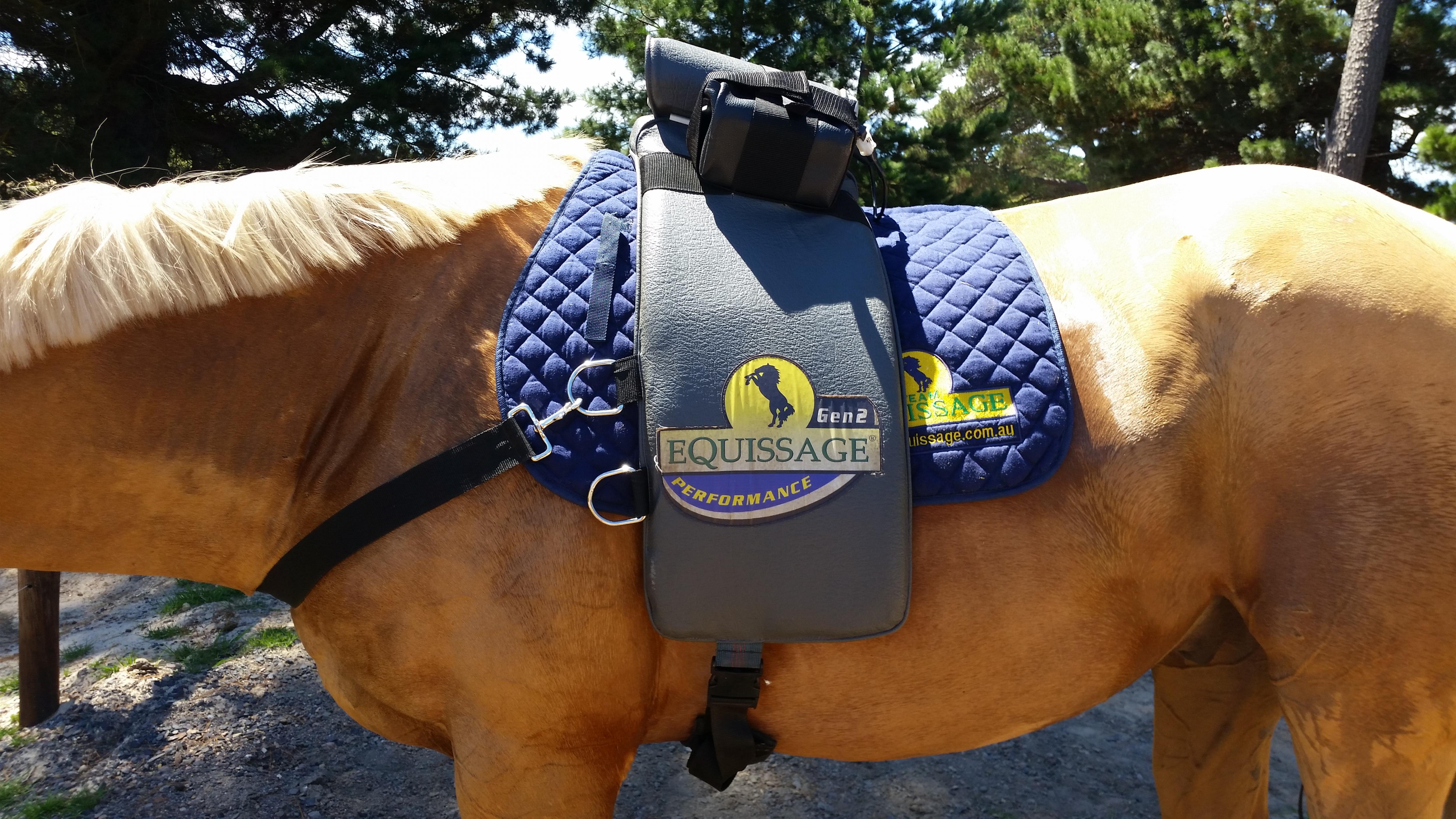 Horse Care products for sale Page 1