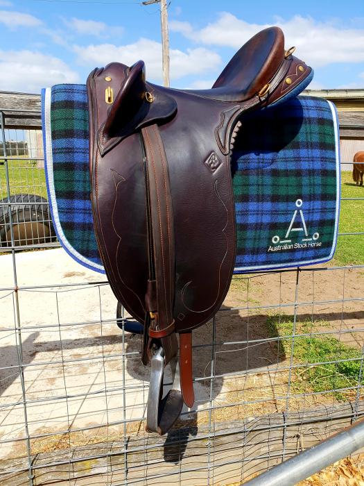 Horses for sale & equine products, stallions, equine news & gallery on