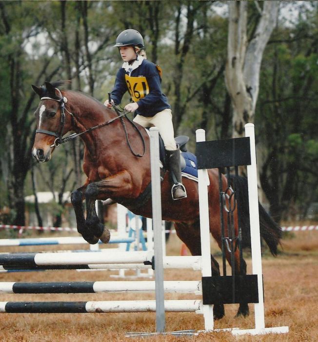 Pony club C Grade eventer Riding Pony Horsezone