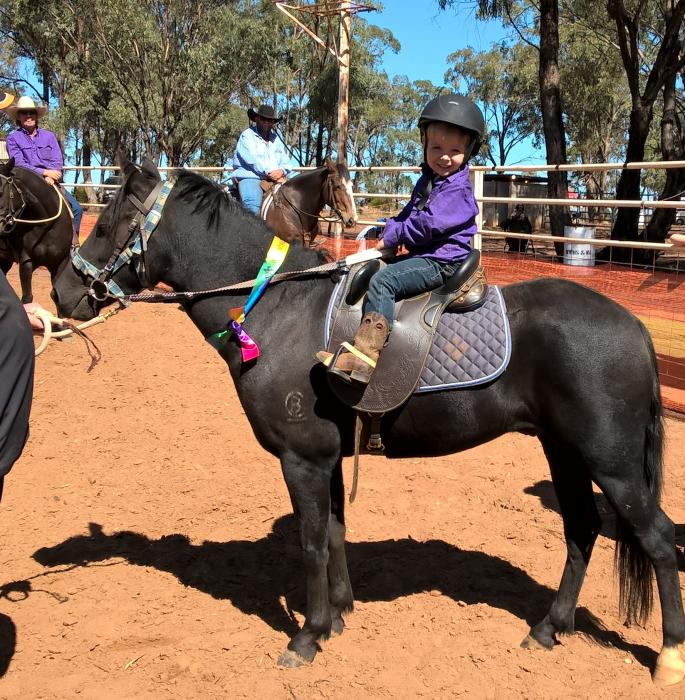 Riding Pony Horses For Sale Riding Pony Horse » Horsezone Page 2