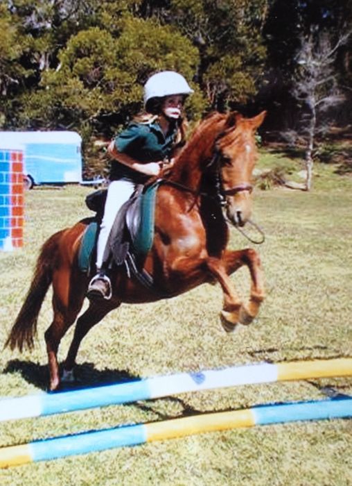 Beautiful Australian Riding Pony Mare Riding Pony Horsezone