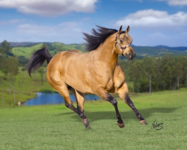 Stallion of the Moment: Kids Classic Fella