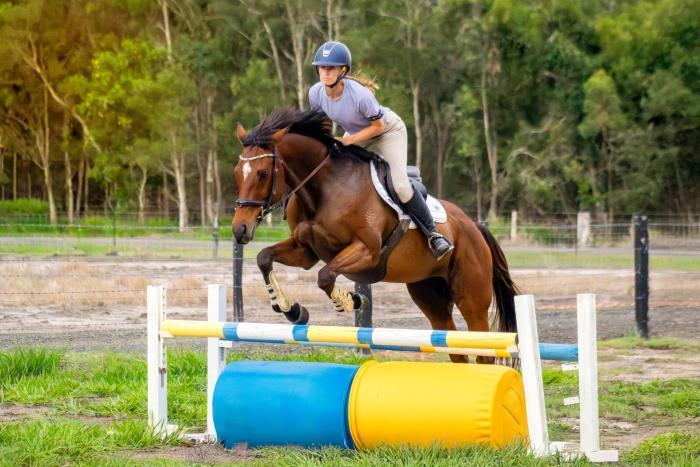 Been There Done That Allrounder