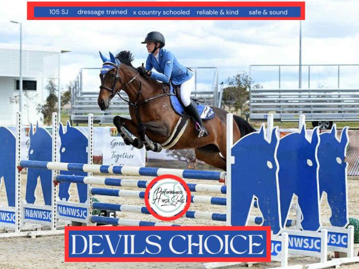 Devils Choice TB 95-105 SJ Allrounder