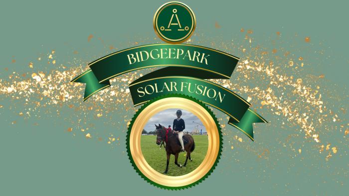 Bidgeepark Solar Fusion - registered allrounder