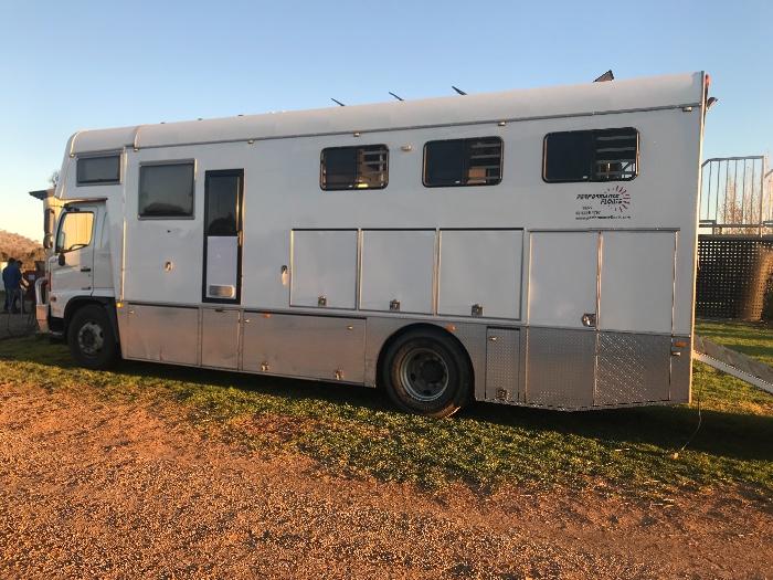 Horsezone Buy, show, sell horses and equestrian related products