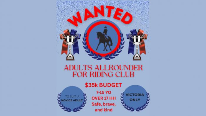 WANTED TO BUY - Safe sound schoolmaster for adult