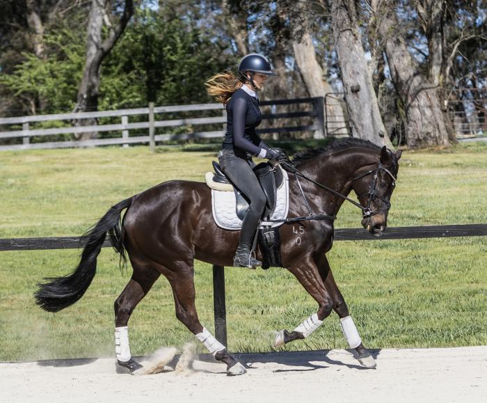 Future Star 🌟 Dressage, Show or Event