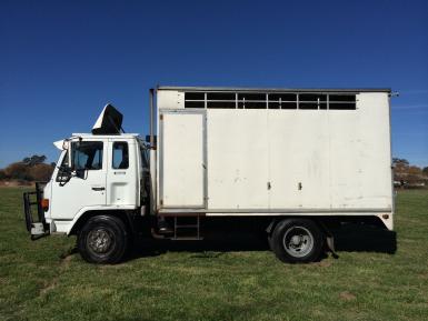 isuzu 4/5 horse truck
