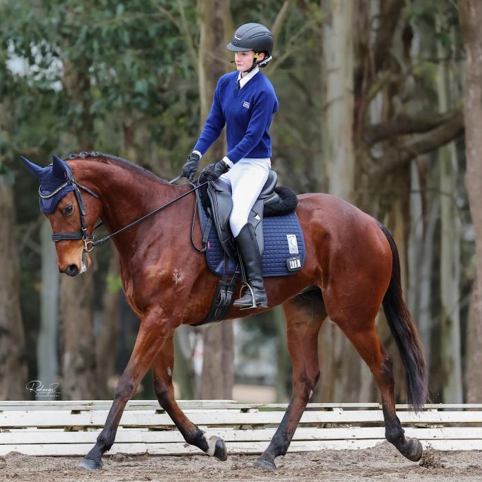 GOLDEN CRUMPET: EQUIMILLIONS PROJECT