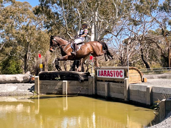5* Eventer  / show jumper amateur/ yr / pro