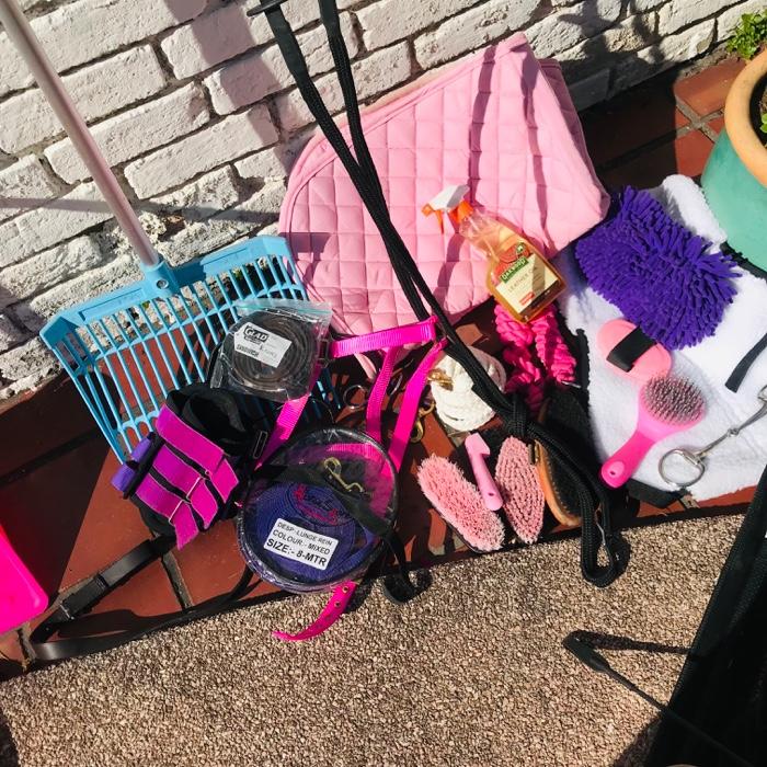 Horsezone Buy, show, sell horses and equestrian related products