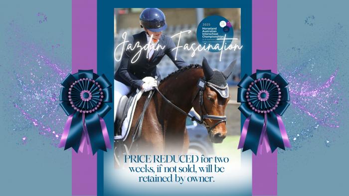 Jazdan Fascination - Advanced Dressage/ Show