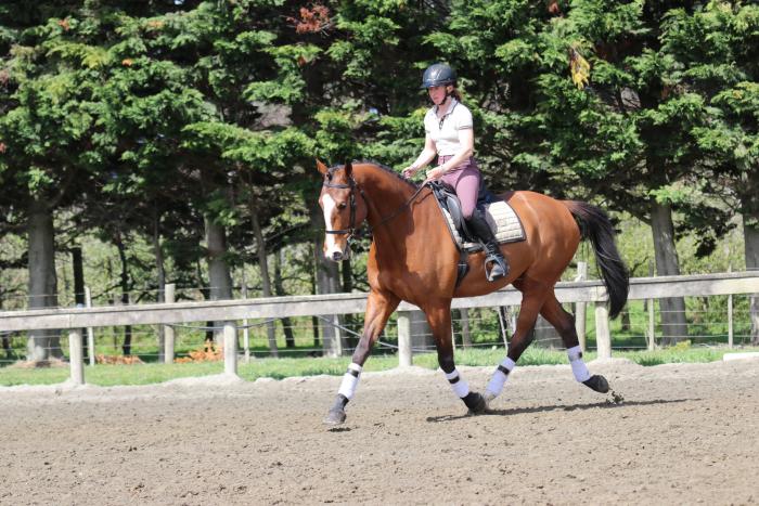 SHARKIE XTREME - Talented Future Prospect