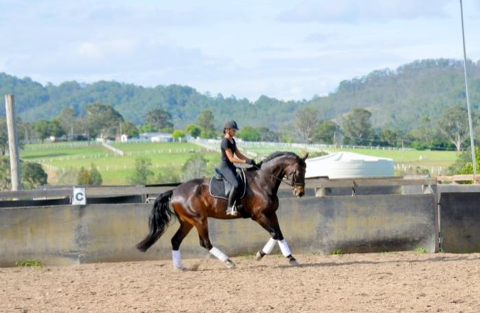 Medium level Schoolmaster