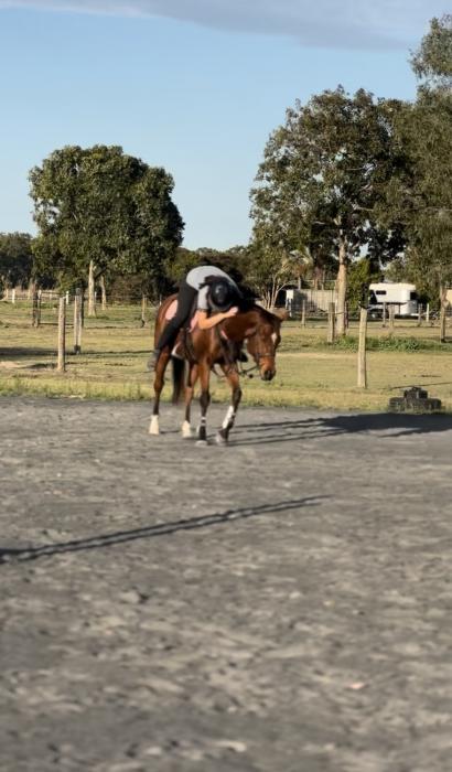 Been There Done That Allrounder