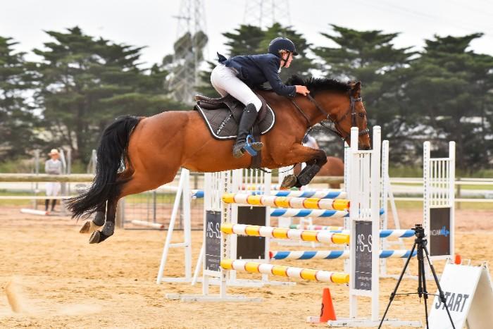 Superstar showjumper &amp; eventer