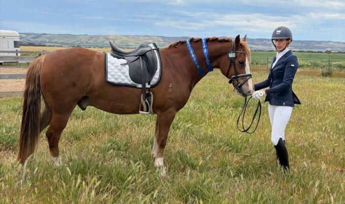 Stunning Pony Dressage Prospect