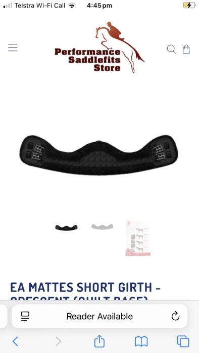WTB second hand crescent girth