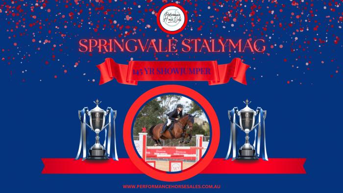 Springvale Stalymag - 145 YR Showjumper