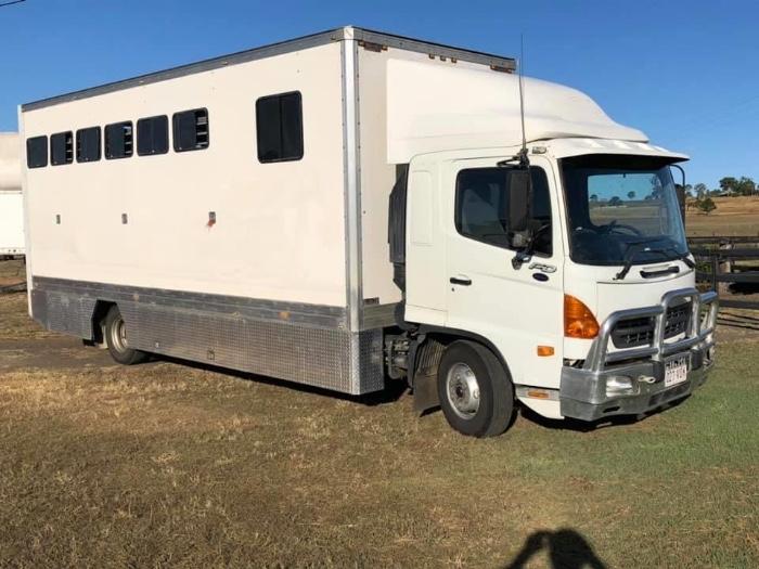 Horsezone Buy, show, sell horses and equestrian related products