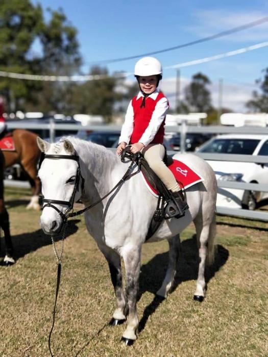 Show  Quality Australian Pony - Leadline