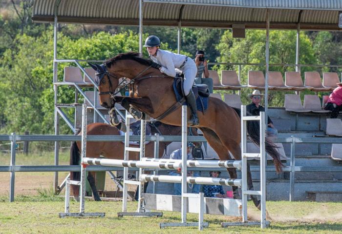 Talented, Competitive OTT Showjumper