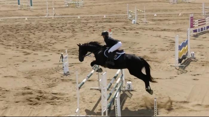 Ultimate Show Jumping Schoolmaster