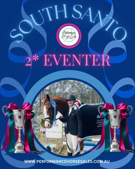 South Santo: 1* Eventer 115 SJ Elementary Dressage
