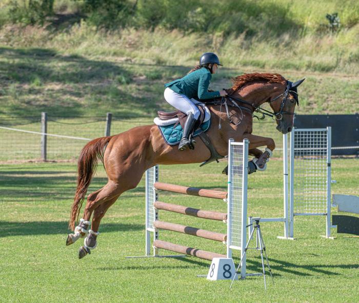 Showjumping Superstar